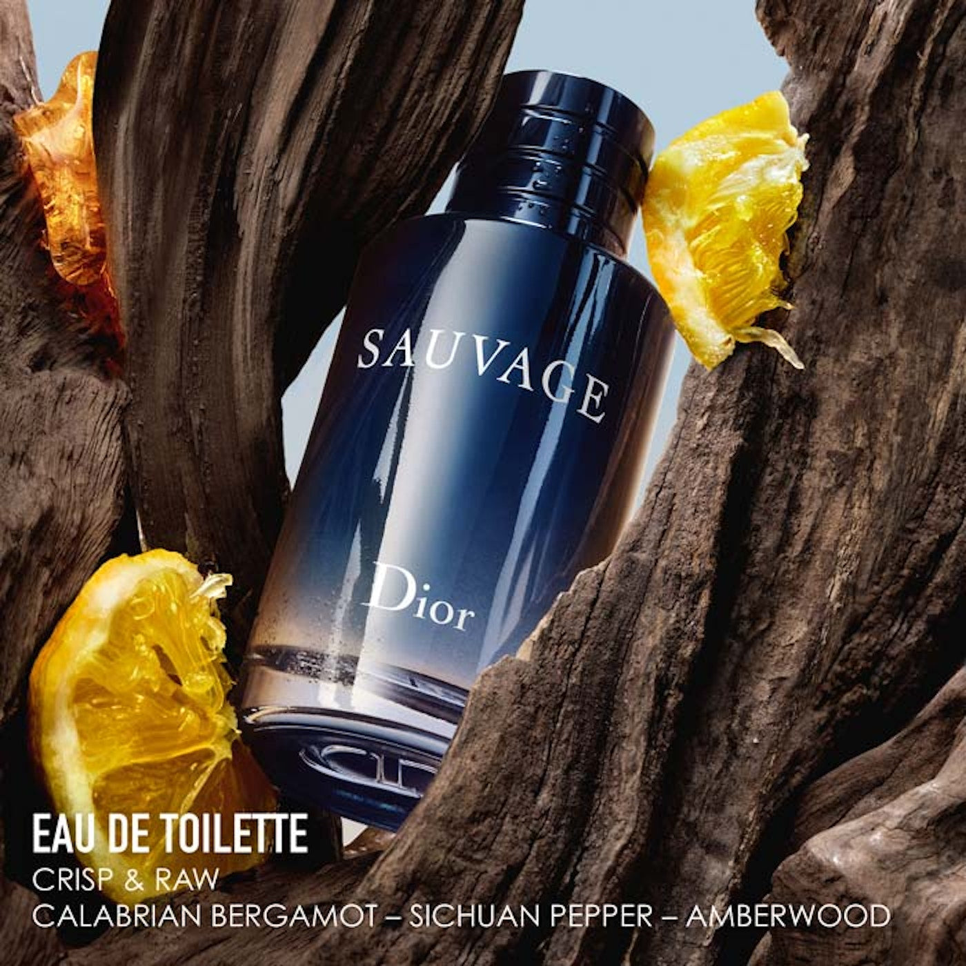 DIOR Sauvage Eau De Toilette-200ml